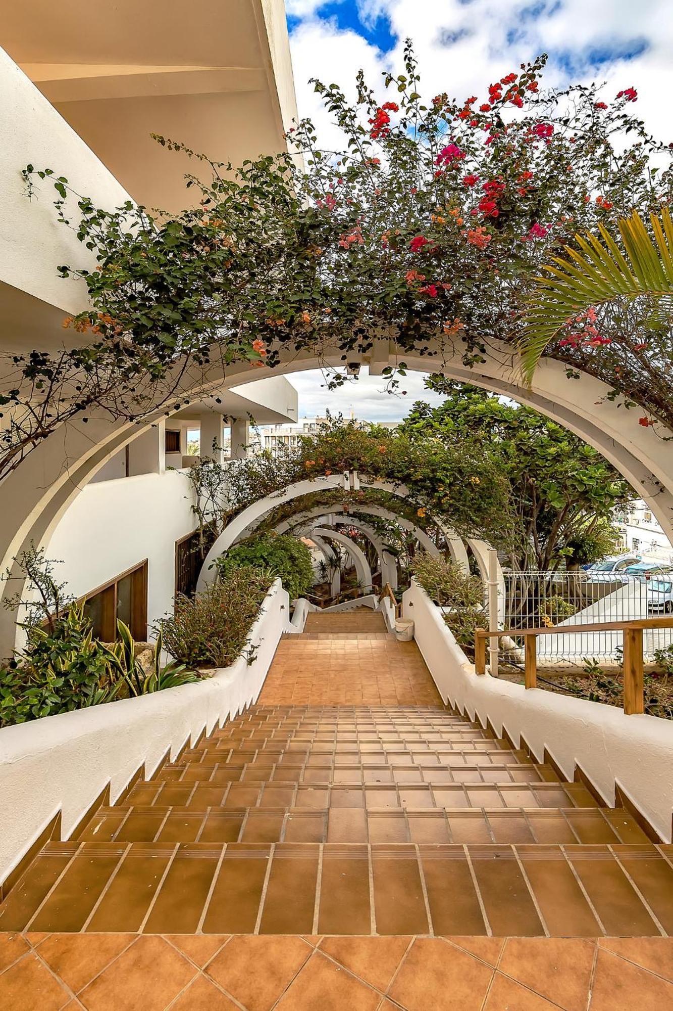 Ocean View Apartments In Park Royal I Costa Adeje  Εξωτερικό φωτογραφία